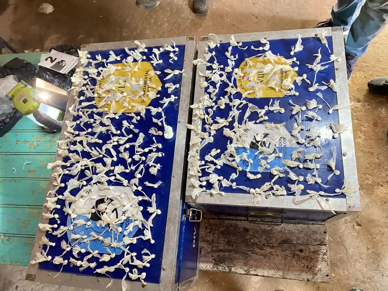 Allanamientos en Victoria: Secuestran drogas y detienen a tres personas por narcomenudeo