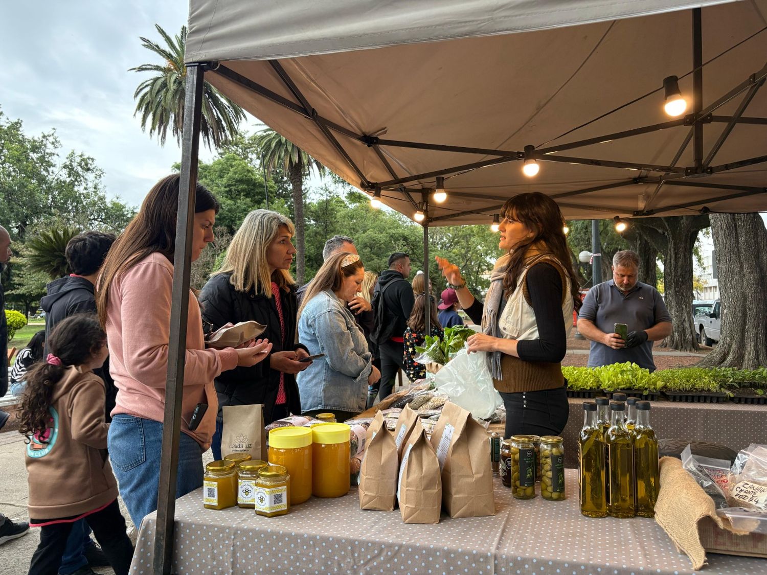 Este domingo se realiza una nueva edición de la Feria de Origen