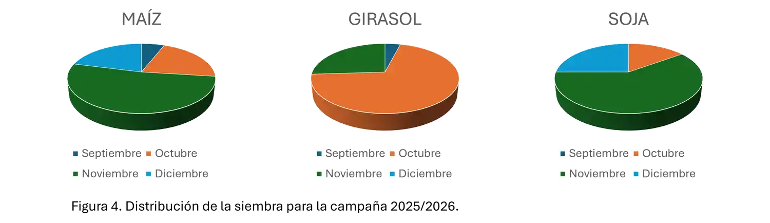 cuadro radigrafia gruesa bcp 4