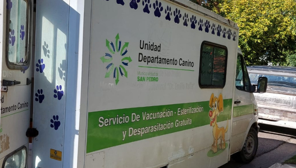 Mascotas: vacunan y desparasitan gratis en la Plaza de la Amistad