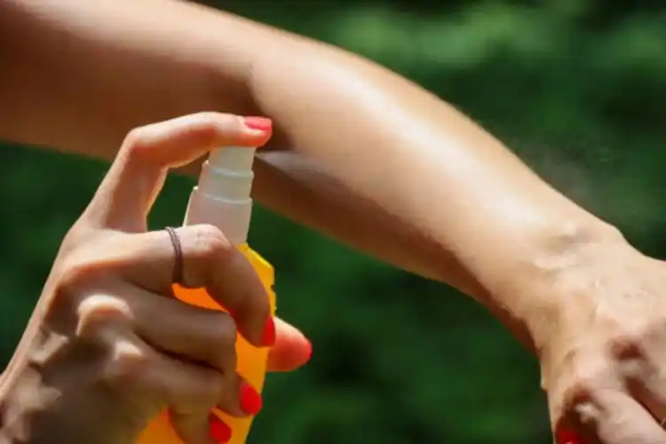 Las lluvias obligan a extremar la limpieza de criaderos de dengue