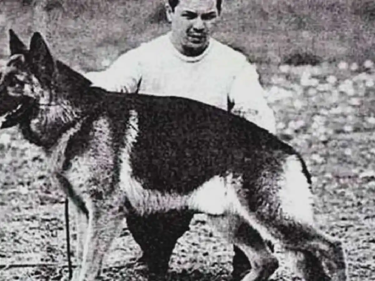 Por qué se celebra hoy el Día Nacional del Perro