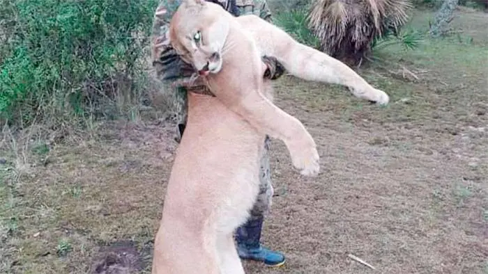 Posó con un puma muerto y generó una ola de repudios: Allanaron su casa