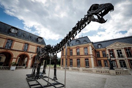 VULCAIN: el fósil de dinosaurio más grande jamás puesto a la venta será subastado en Francia (+Fotos)