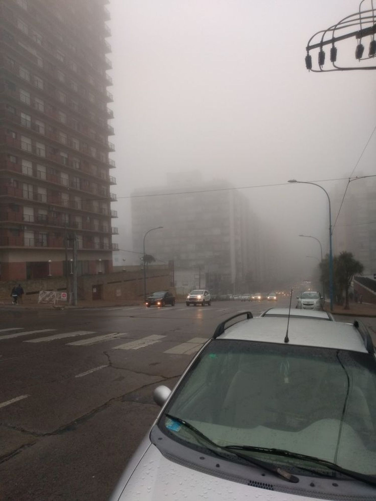 La Patria se celebra con abrigo: clima fresco y lluvioso para este 9 de julio