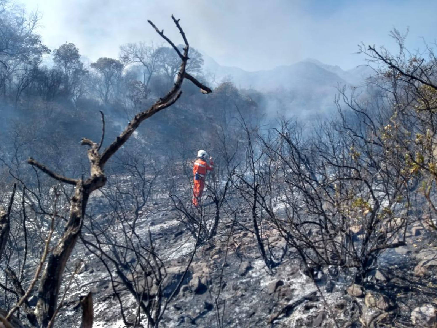 En 18 años se quemó el equivalente a 12 ciudades de Córdoba