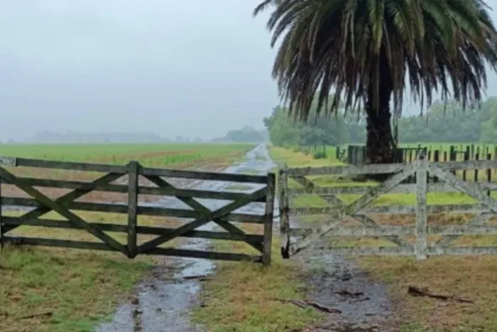 Lluvia