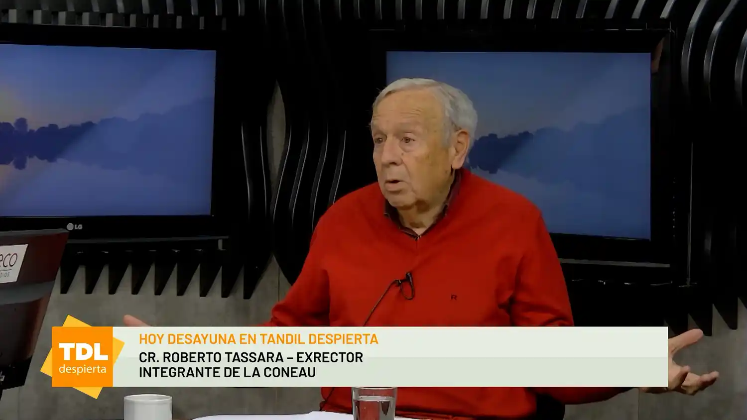 El funcionamiento de la Coneau – Tandil Despierta