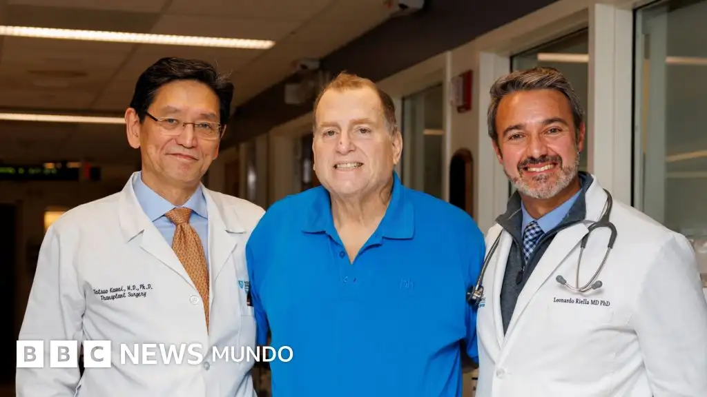 El equipo del hospital Mass General Brigham sostiene que este caso demuestra que los órganos de cerdo pueden funcionar como un puente temporal hasta que se disponga de un trasplante humano.