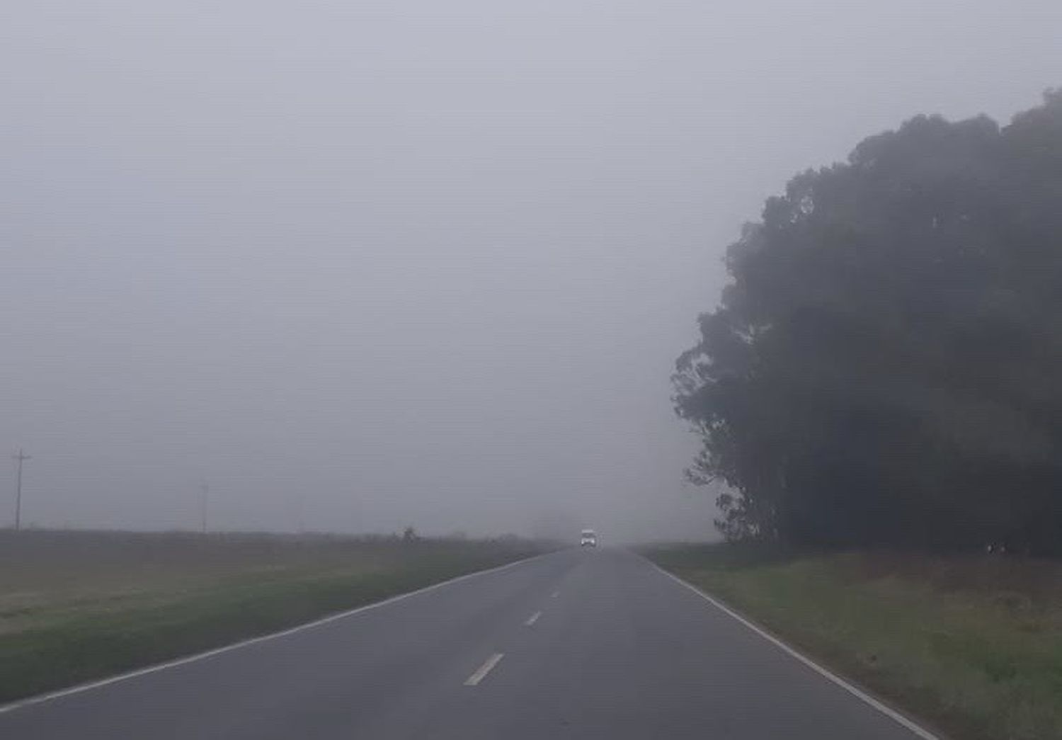 Informe especial del Servicio Meteorológico por bancos de niebla en Tandil y la zona