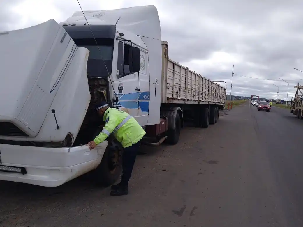 Detuvieron camión con documentación falsa en operativo de control vehicular 