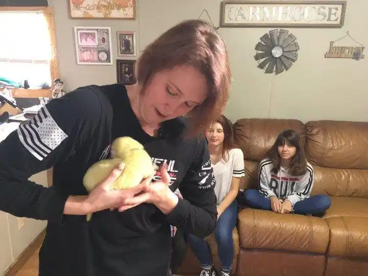 Sorpresa por el nacimiento de un perro verde: veterinarios explicaron las causas