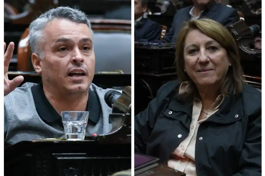 El socialismo va con dictámen propio a la votación en Cámara de Diputados