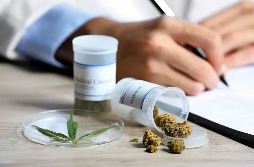 Convenio con el INTA para la investigación del uso medicinal del Cannabis