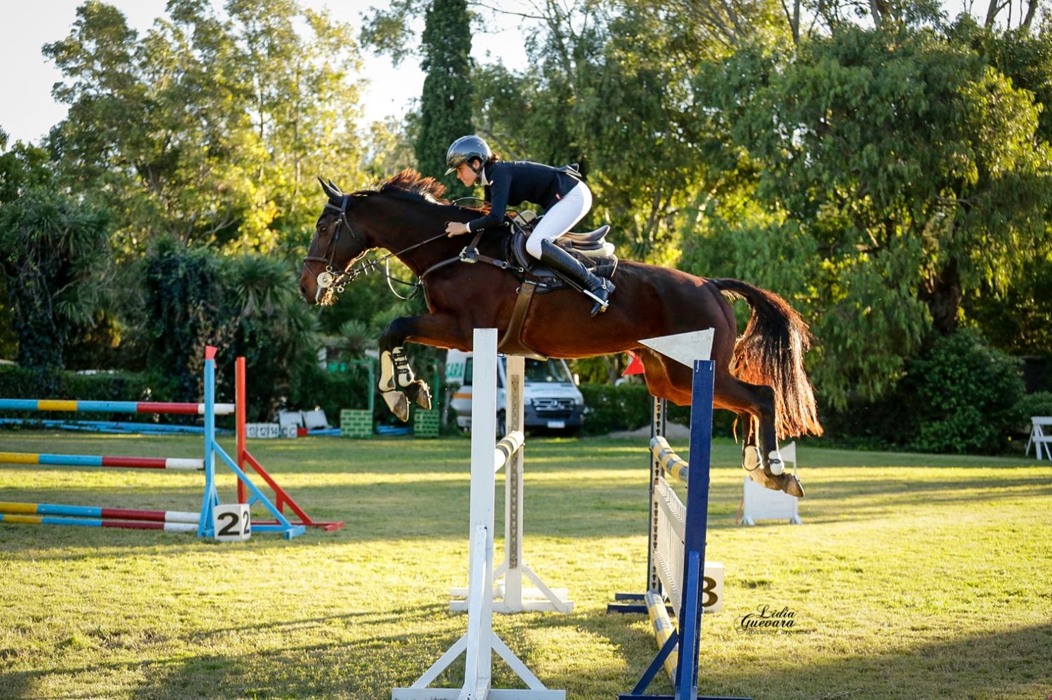 El Club Ecuestre Mar del Plata recibió una etapa del Federal de Salto Hípico