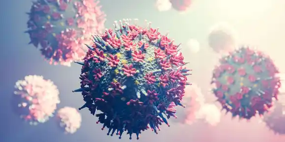 La variante �micron de coronavirus podría haberse originado en ratones