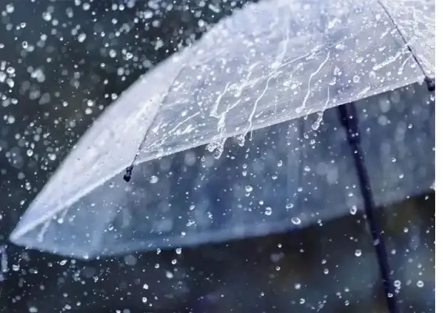 Pronóstico