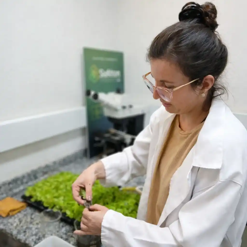 maría eugenia taverna