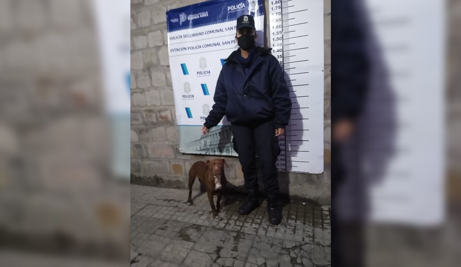 Allanaron asentamiento para recuperar un perro robado