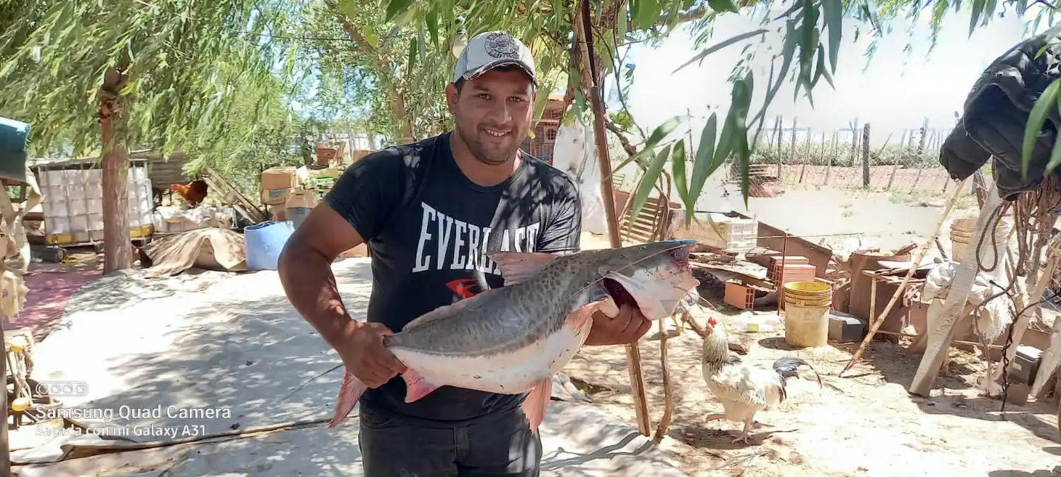 Felicitaciones, Nicolás