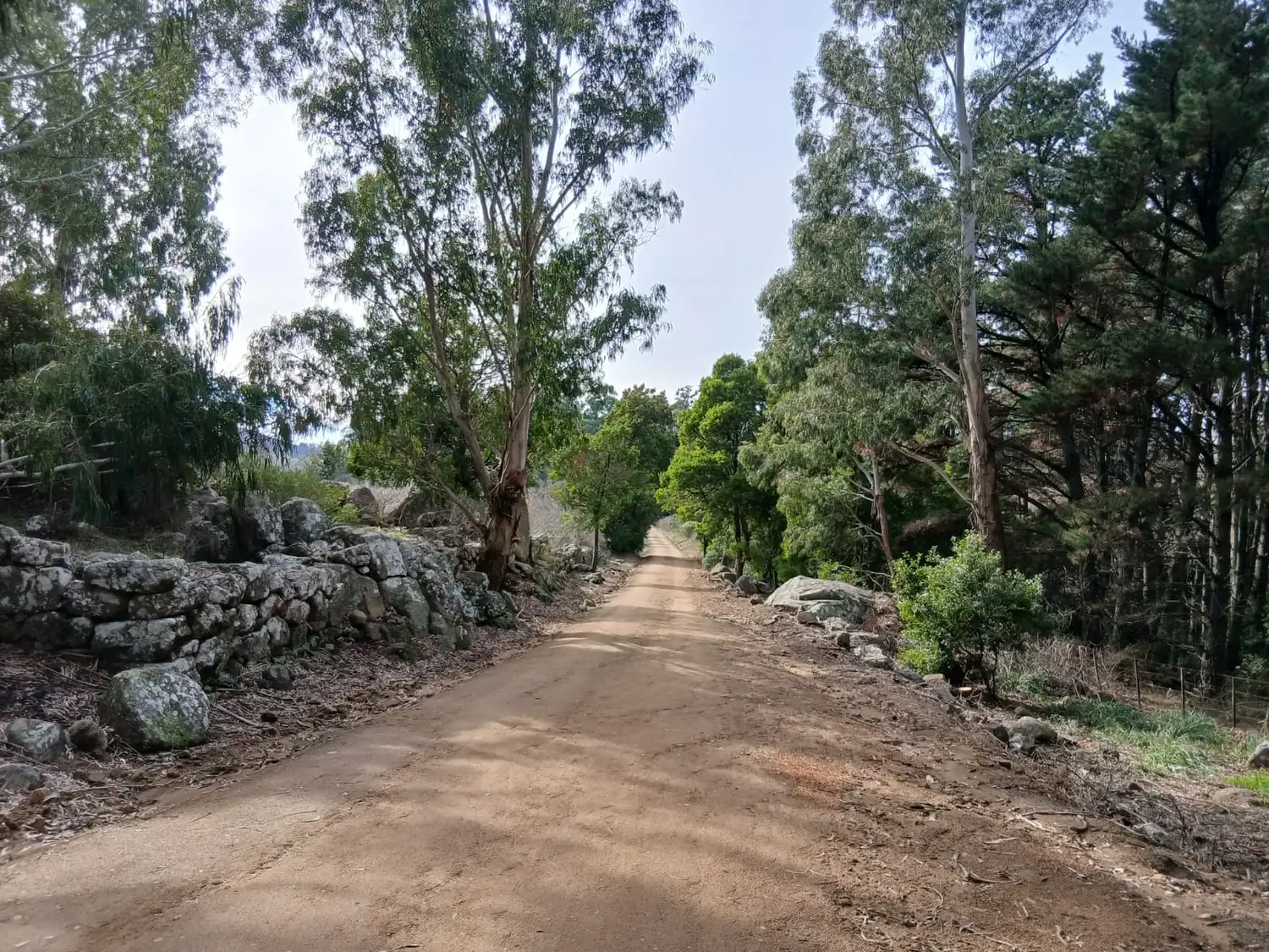 CAMINO AMAIKE - 1