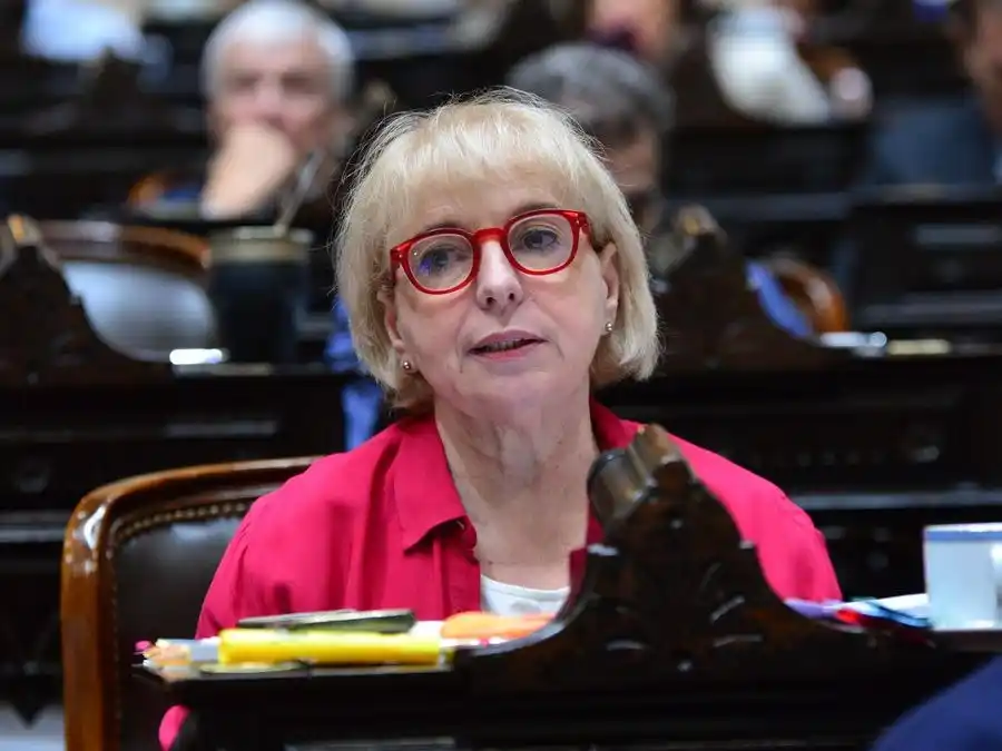 Una diputada del PRO presentó un proyecto de ley para que no se pueda indultar a condenados por corrupción