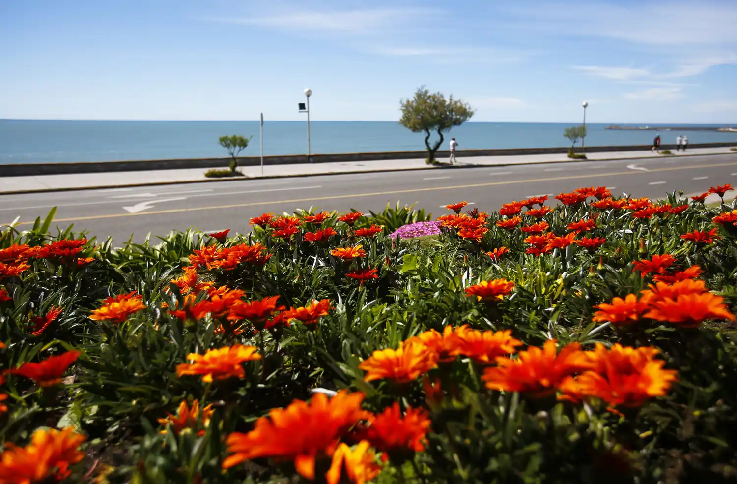 El calor gana terreno: 27 grados de máxima y viento del norte