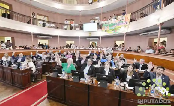 Diputados dio media sanción al proyecto que regula el uso de fitosanitarios en la provincia