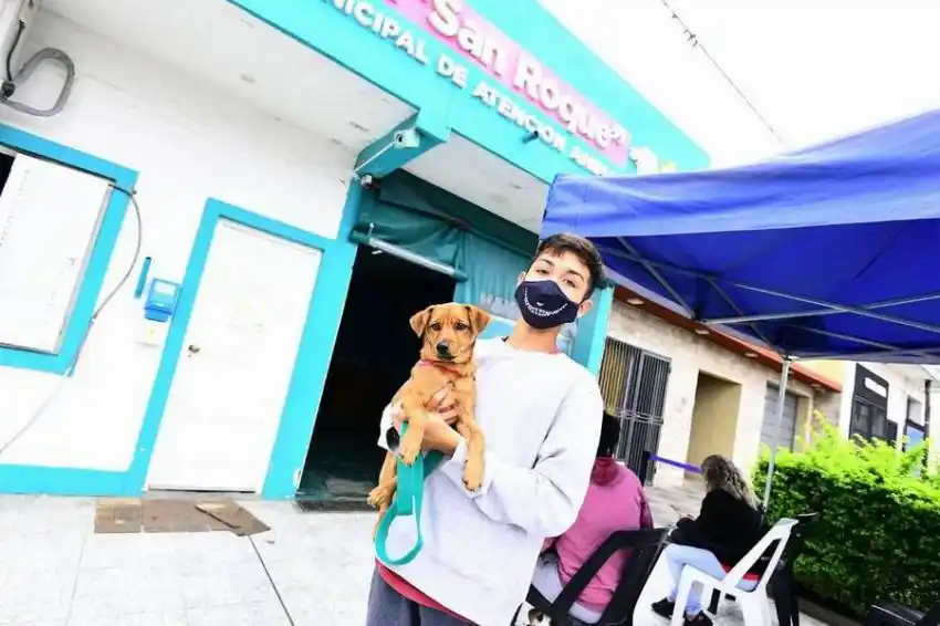 El Municipio avanza con el programa de castraciones gratuitas en el CeMMA