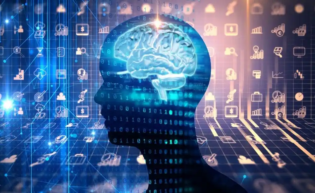 Ante lo incierto, el cerebro es una poderosa “calculadora”