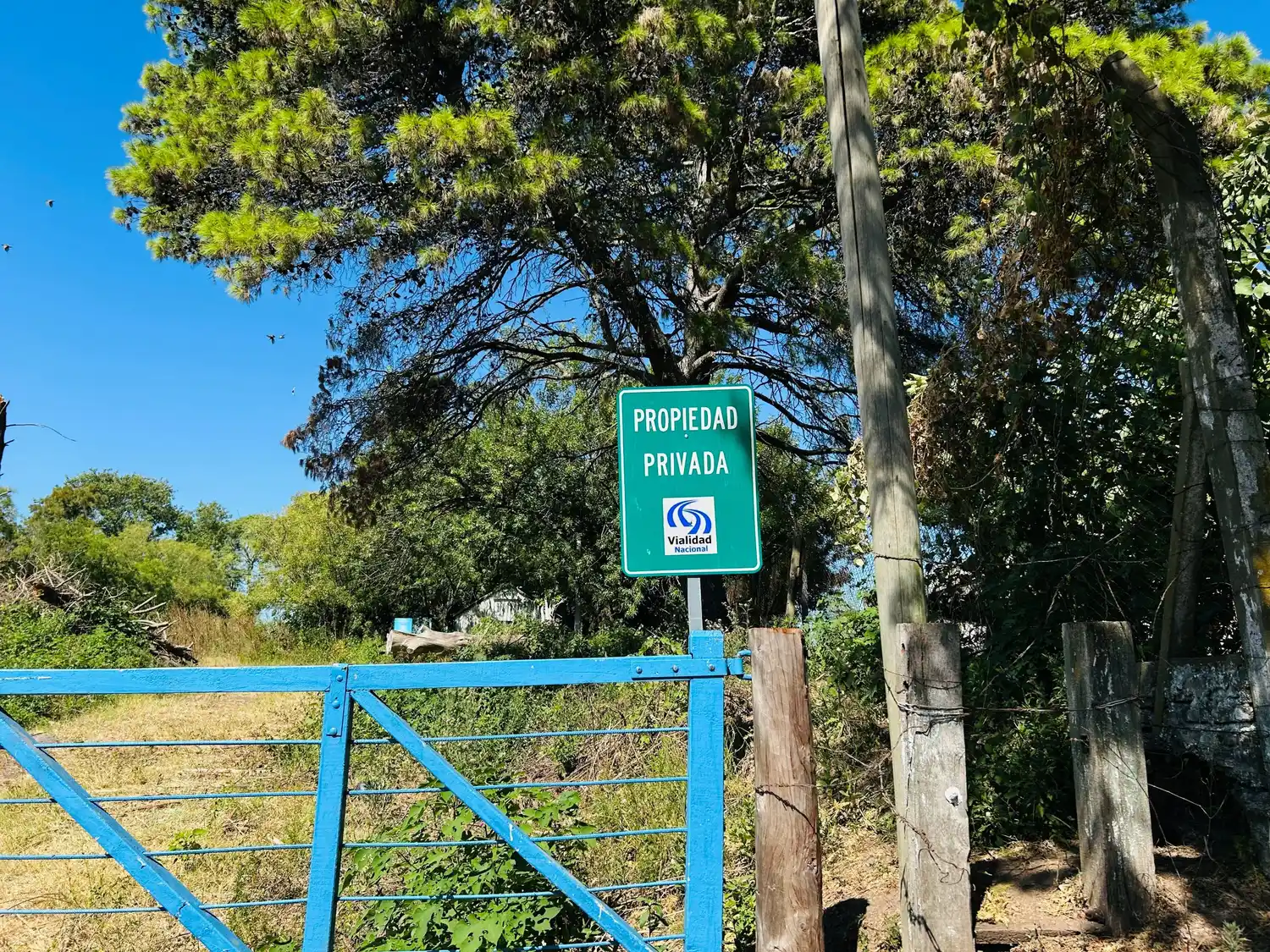 El predio fue reacondicionado recientemente.