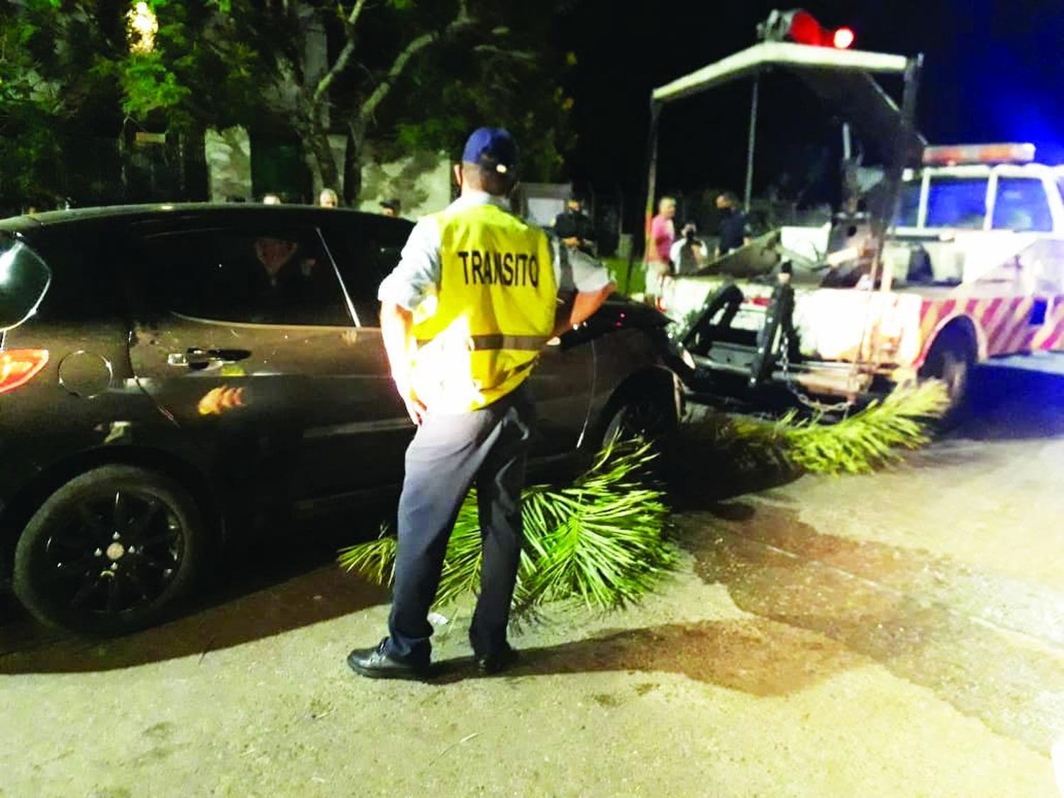 Un menor alcoholizado terminó contra una palmera cuando huía de otro choque