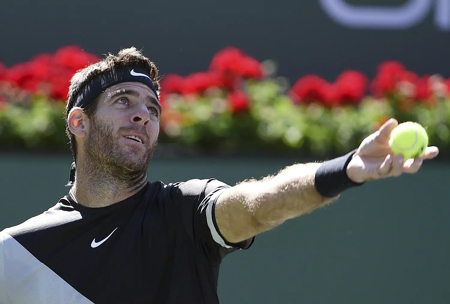 El estadounidense Young, primer rival de Del Potro