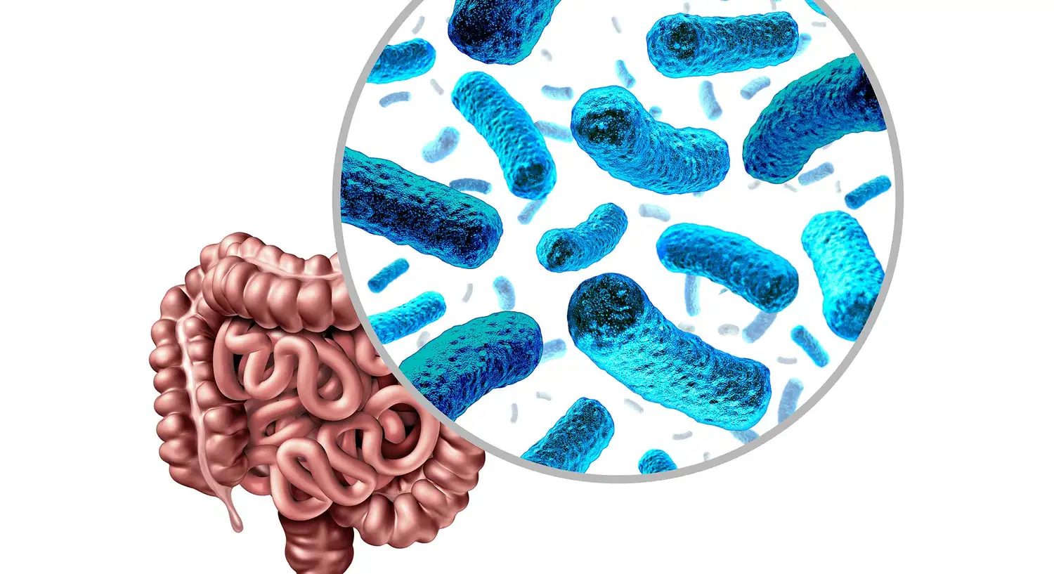 microbiota - 2