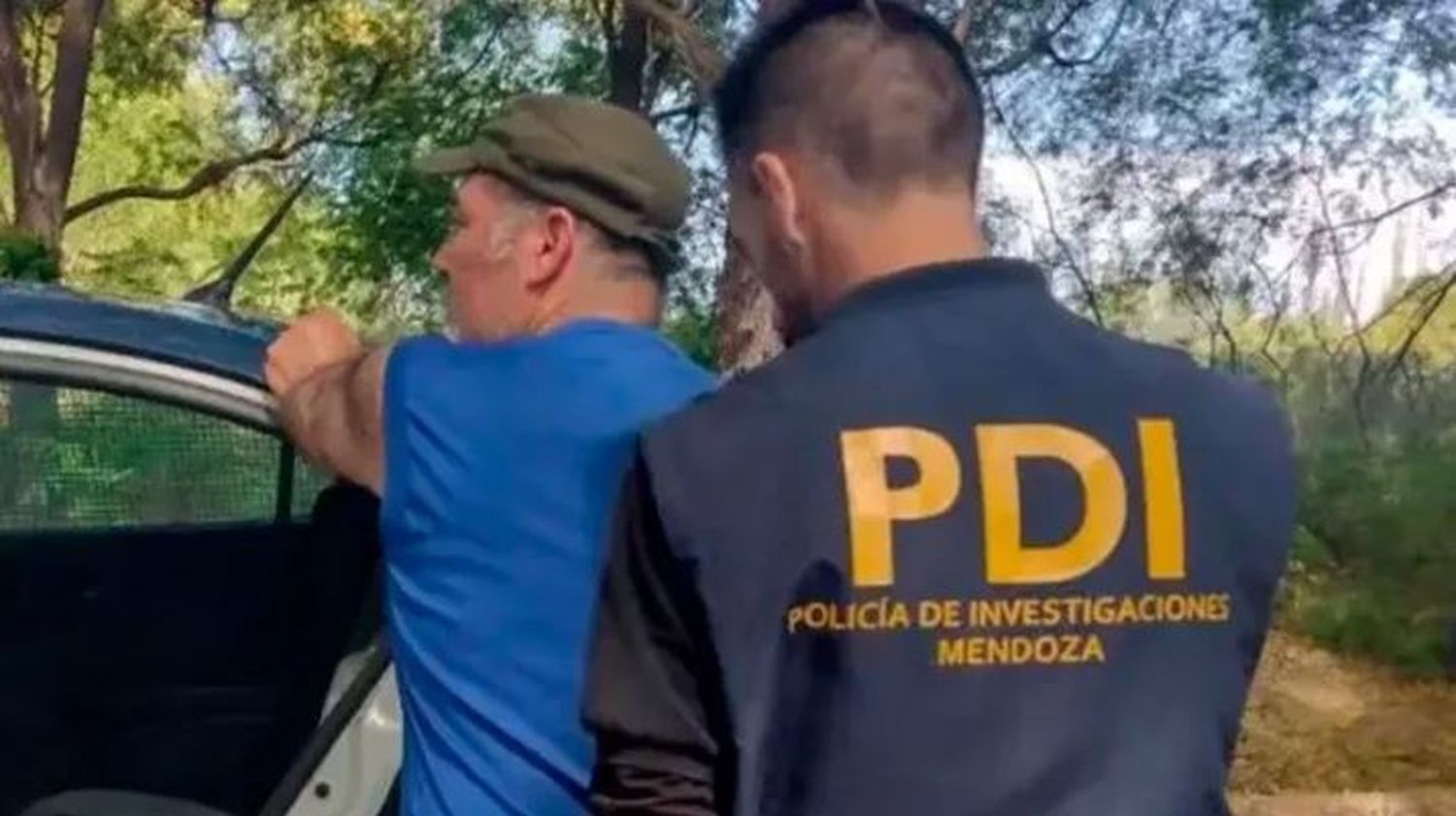 Encerró a sus dos perros en el auto para ver el partido de la Selección tranquilo: las mascotas murieron