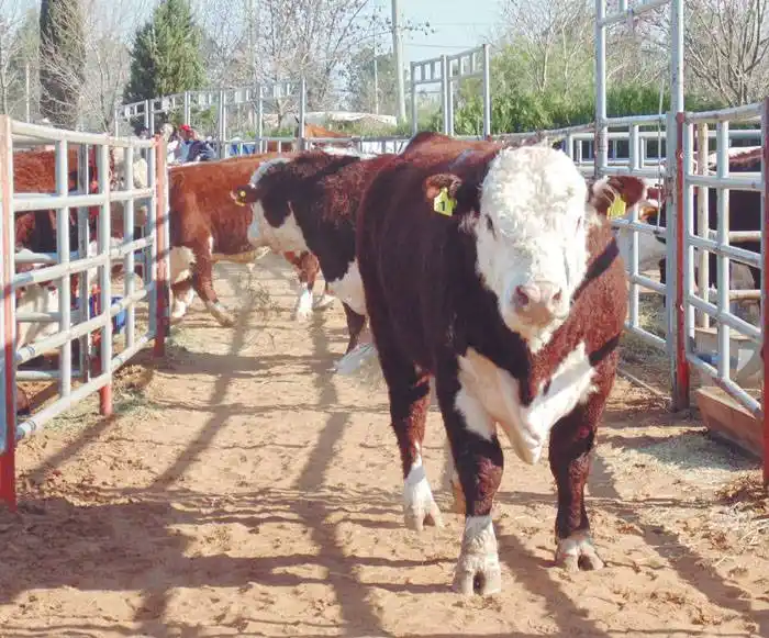 La Rural de Concordia y la 127ª Exposición de Ganadería, Granja, Industria y Comercio