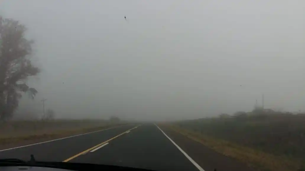 Gualeguaychú bajo la neblina: ¿Cómo sigue el tiempo en la ciudad?