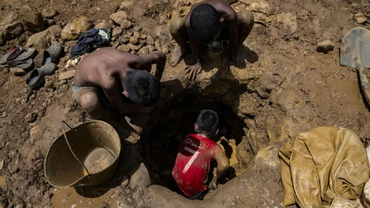 SIN ESCUELAS NI JUEGOS: el terrible drama de los niños mineros en Venezuela