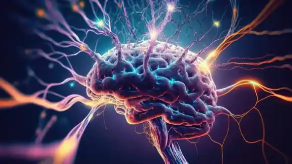 DEMENCIA, ACV y MIGRAÑA: los principales causas de problemas de salud en el mundo