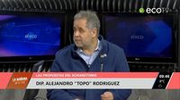Las propuestas del Schiaretismo para las PASO