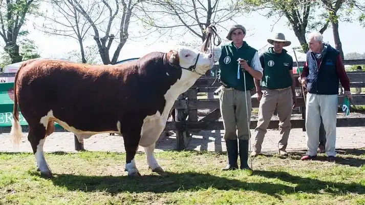 Con gran presencia de Cabañas de Entre Ríos, la Rural 2020 de Palermo vuelve con todo