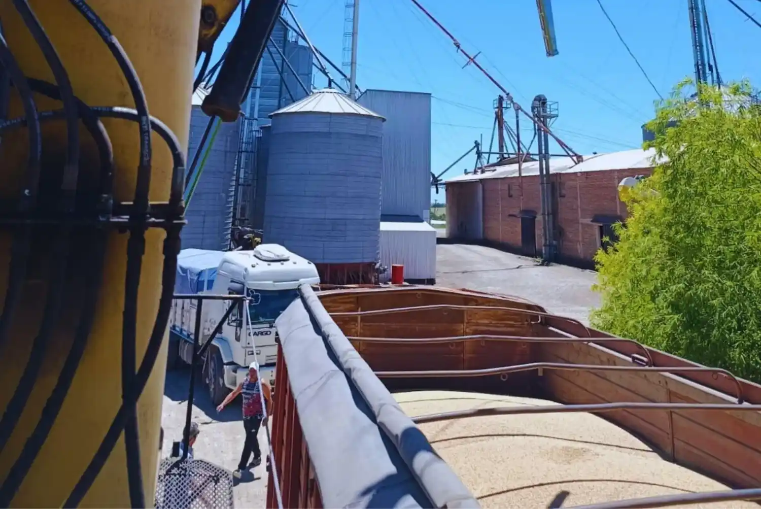 camion trigo marcos juarez