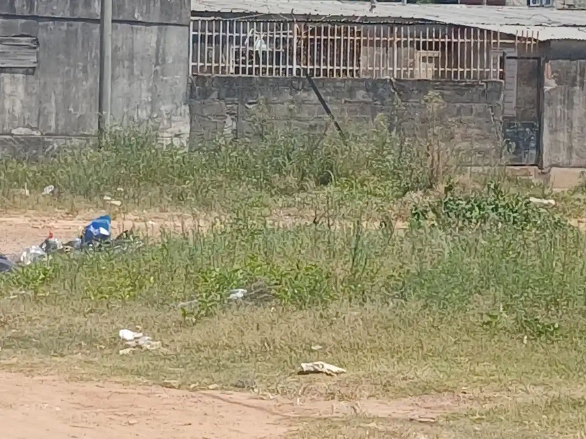 Vecina del barrio Isla Maciel reclama por pastizales, basurales y falta de respuestas