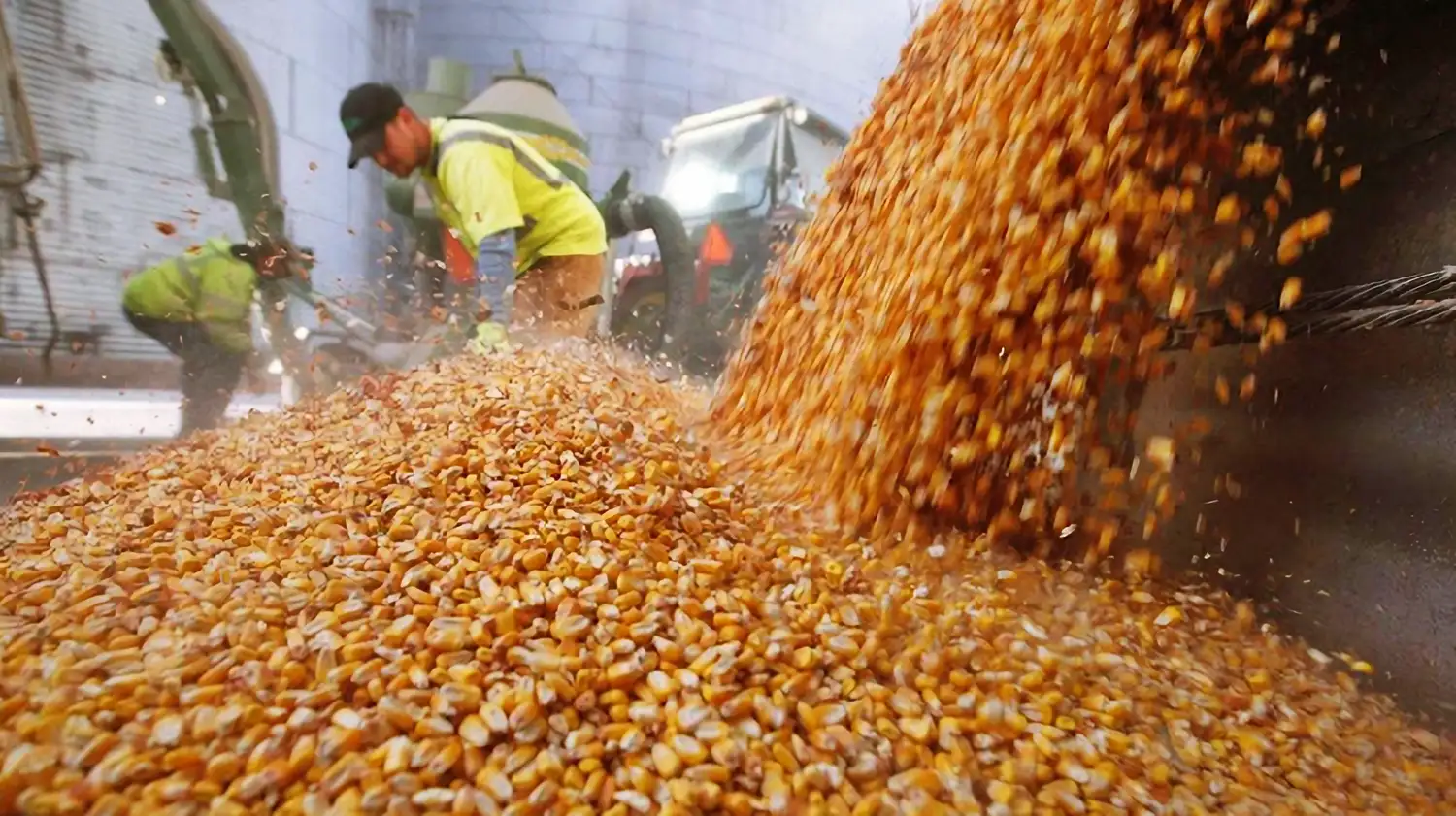 La producción agrícola entrerriana creció 20% y alcanzó un máximo histórico