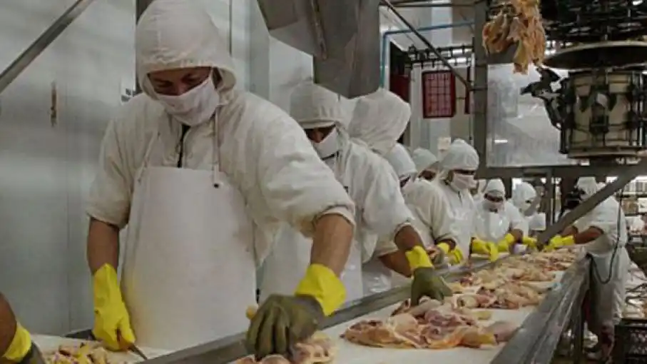 Argentina retoma exportaciones aviares a la UE