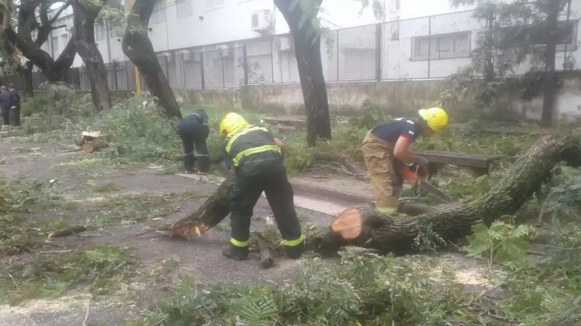 La provincia brinda asistencia en zonas afectadas por el temporal