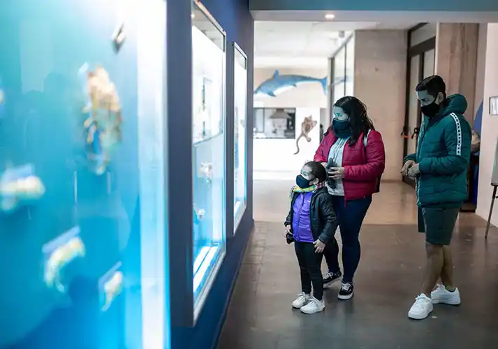 Reconocimiento a los museos municipales de Mar del Plata