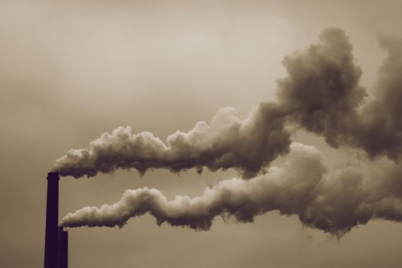 Día de la Tierra: 5 respuestas que debés saber sobre el coronavirus y el medio ambiente