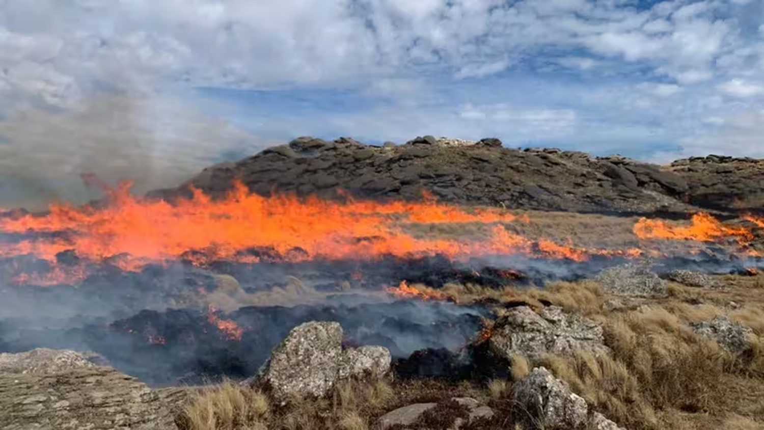 Las autoridades estipulan que ya hay más de 3.500 hectáreas de la cima afectadas