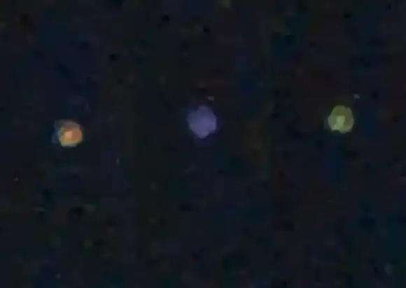 VIDEO | Filmaron un raro objeto luminoso y movedizo que irrumpió en el cielo nocturno de Vera